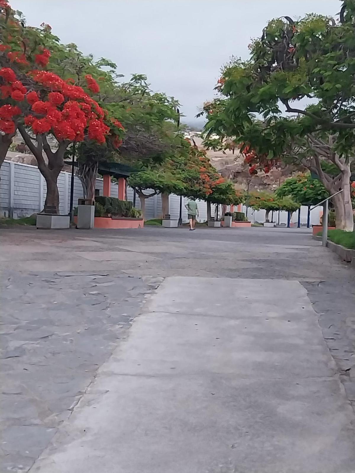 Mi Casita Tenerife Sur Free Wifi E Ac Arona  Exterior photo